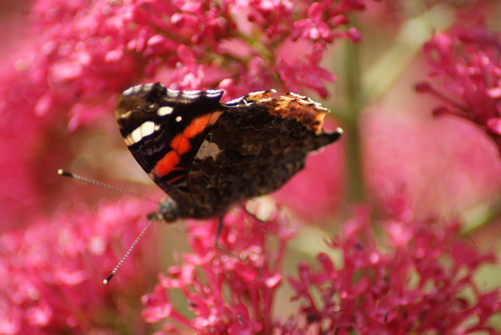 Melbourne Place Wolsingham Bagian luar foto