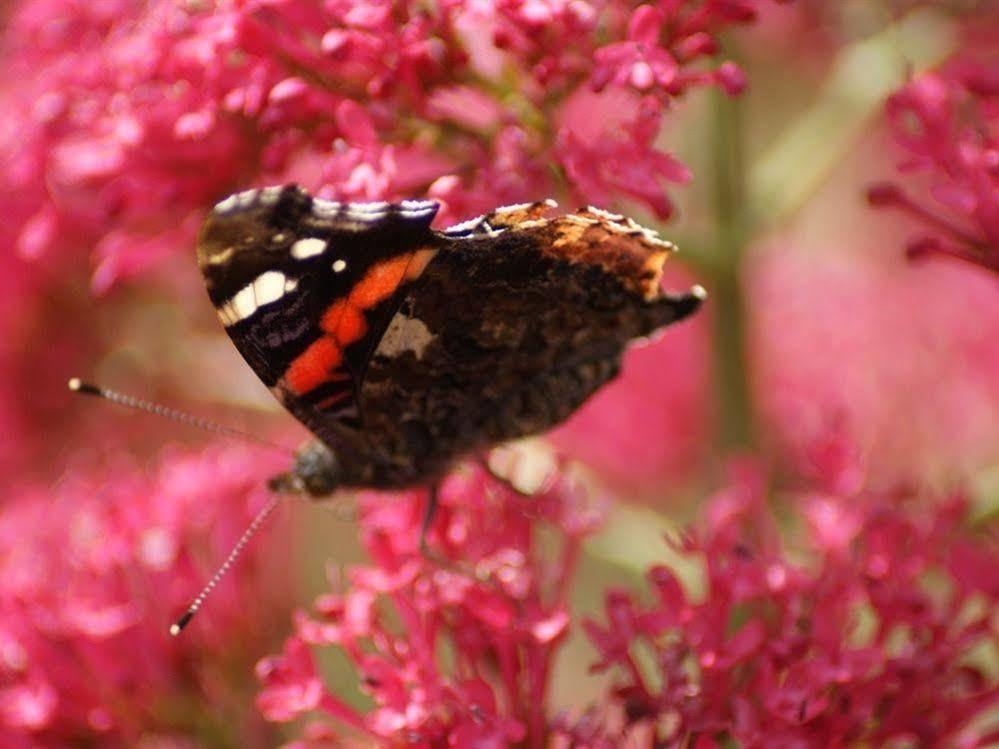 Melbourne Place Wolsingham Bagian luar foto
